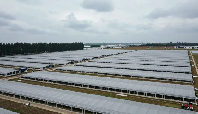技术型网络安全防护方案如何应对高并发场景